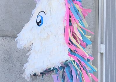 Pinata anniversaire albi